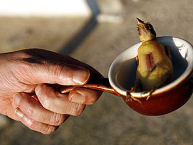 Khám phá món ăn 'đệ nhất tàn ác', ăn cũng phải trốn - Hình 7 Kham pha mon an 'de nhat tan ac', an cung phai tron-Hinh-7