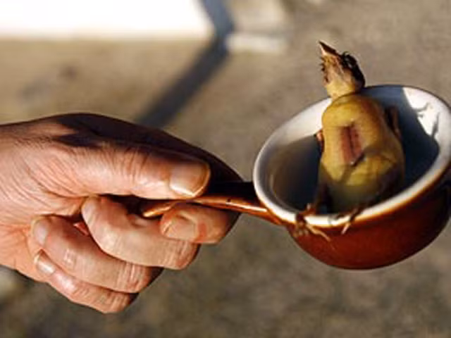 Khám phá món ăn 'đệ nhất tàn ác', ăn cũng phải trốn - Hình 7 Kham pha mon an 'de nhat tan ac', an cung phai tron-Hinh-7