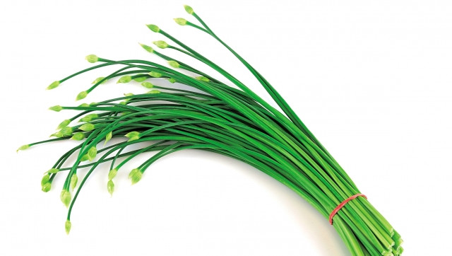 Phương pháp giảm cân đơn giản tại nhà trong mùa dịch - Hình 2 Phuong phap giam can don gian tai nha trong mua dich-Hinh-2