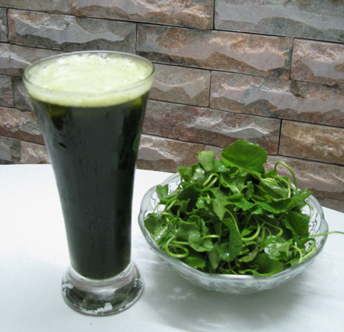 Những công thức từ rau má giúp trị sẹo rỗ nhanh chóng - Hình 4 Nhung cong thuc tu rau ma giup tri seo ro nhanh chong-Hinh-4