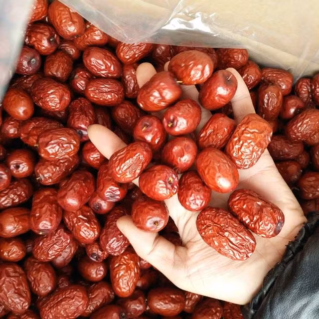Khám phá công dụng của táo đỏ - loại quả được chị em lùng mua biếu Tết - Hình 4 Kham pha cong dung cua tao do - loai qua duoc chi em lung mua bieu Tet-Hinh-4
