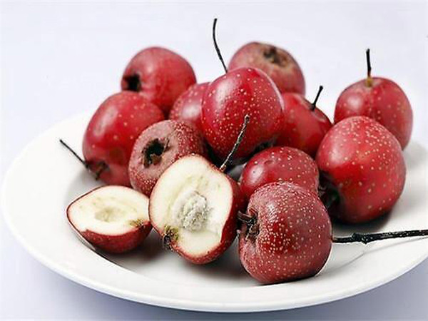 Những loại quả nấu chín sẽ tăng dưỡng chất gấp đôi - Hình 9 Nhung loai qua nau chin se tang duong chat gap doi-Hinh-9