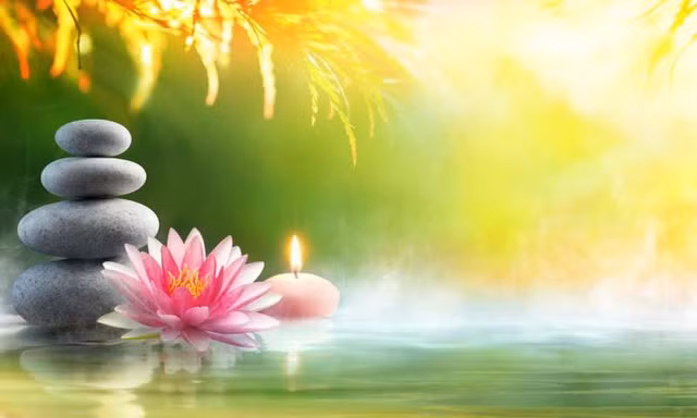 Muon giam can dat 99%, phai thuc hien nhung dieu nay vao buoi sang-Hinh-7