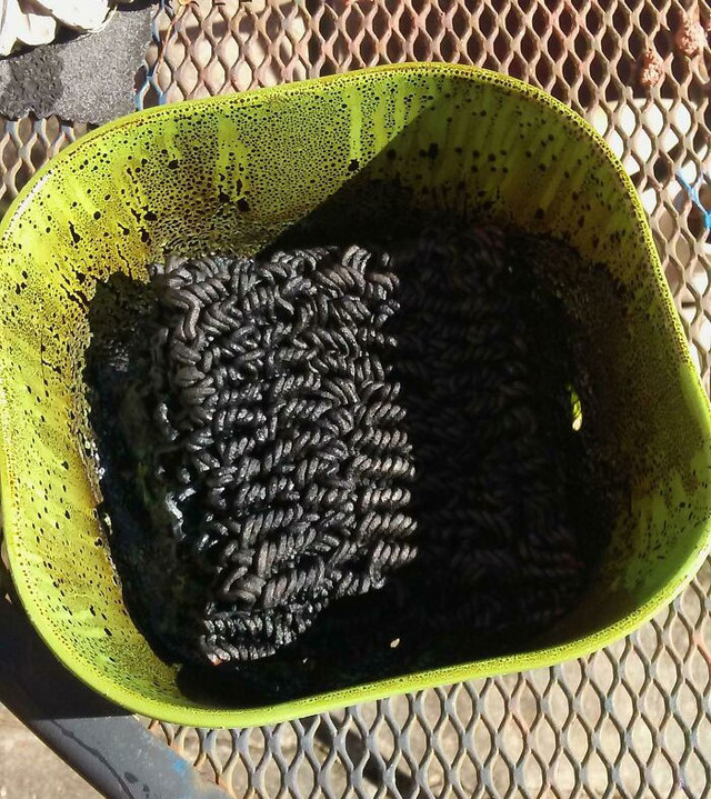 Vợ đoảng vào bếp với những món ăn dở khóc dở cười - Hình 13 Vo doang vao bep voi nhung mon an do khoc do cuoi-Hinh-13