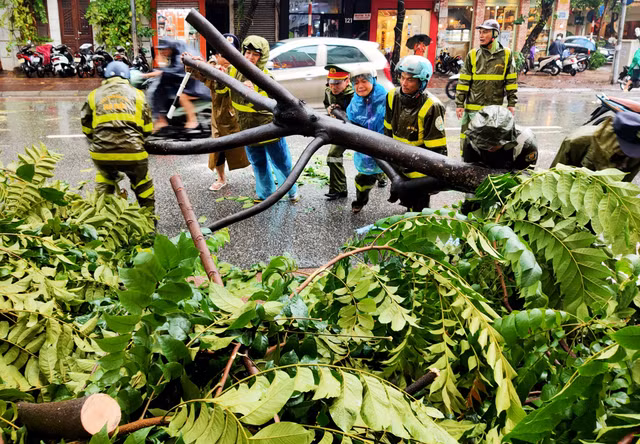 Hinh anh Ha Noi mua lon, nhieu o to bi cay do de bep-Hinh-8