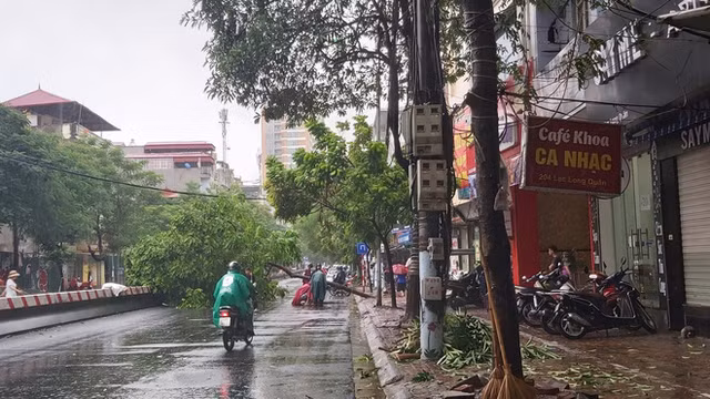 Hinh anh Ha Noi mua lon, nhieu o to bi cay do de bep-Hinh-4