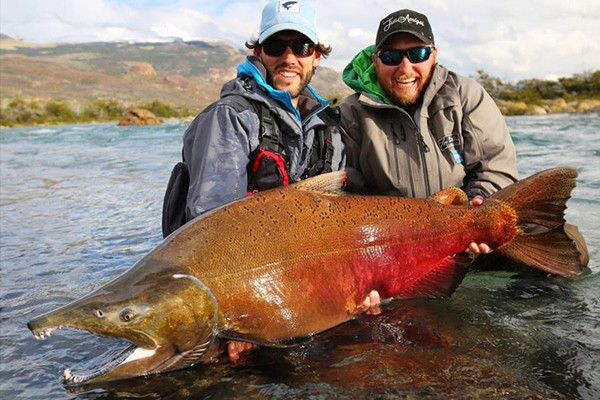 Ăn cá sai cách coi chừng rước bệnh ung thư - Hình 5 An ca sai cach coi chung ruoc benh ung thu-Hinh-5