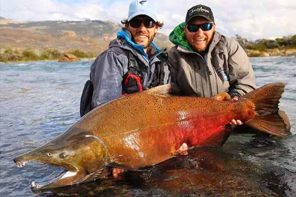 An ca sai cach coi chung ruoc benh ung thu-Hinh-5