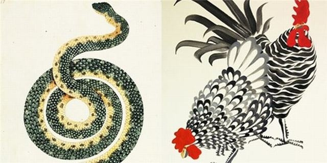 Các con giáp này kết hợp làm ăn ắt thu về bạc tỷ, tắm trong biển tiền - Hình 4 Cac con giap nay ket hop lam an at thu ve bac ty, tam trong bien tien-Hinh-4