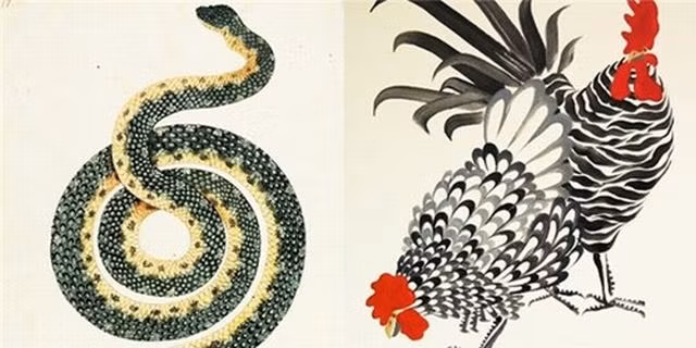 Cac con giap nay ket hop lam an at thu ve bac ty, tam trong bien tien-Hinh-4