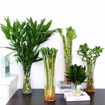 Day la meo phong thuy de su nghiep phat nhu dieu gap gio-Hinh-4