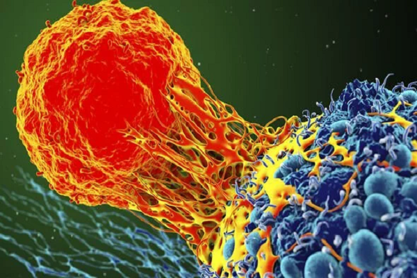 Một số triệu chứng cảnh báo ung thư thường bị bỏ qua - Hình 2 Mot so trieu chung canh bao ung thu thuong bi bo qua-Hinh-2