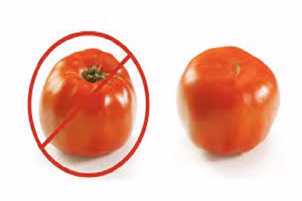 Co nen bao quan ca chua trong tu lanh? Cau tra loi kinh ngac-Hinh-3