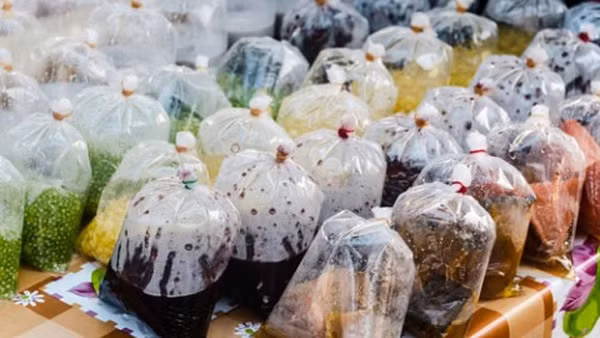 Canh bao tui nilon doc hai, tang nguy co ung thu-Hinh-4