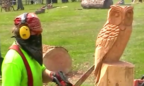 Ne chang trai tao hinh chim cu meo nhanh nhu cat