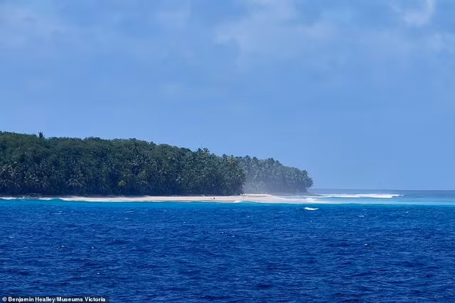 Tan muc nhung sinh vat quai di an nau gan nui lua duoi day bien-Hinh-2