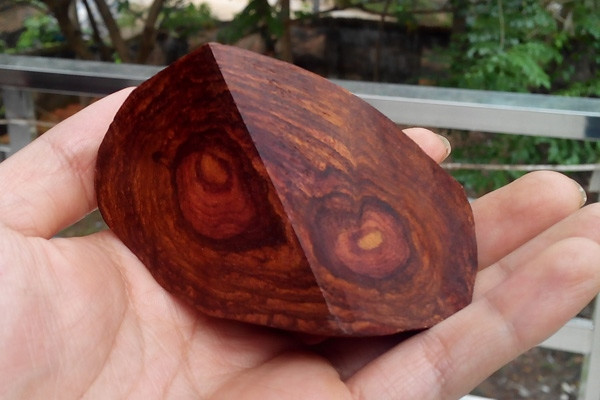 Loại gỗ nào đắt giá và quý hiếm nhất thế giới? - Hình 10 Loai go nao dat gia va quy hiem nhat the gioi?-Hinh-10