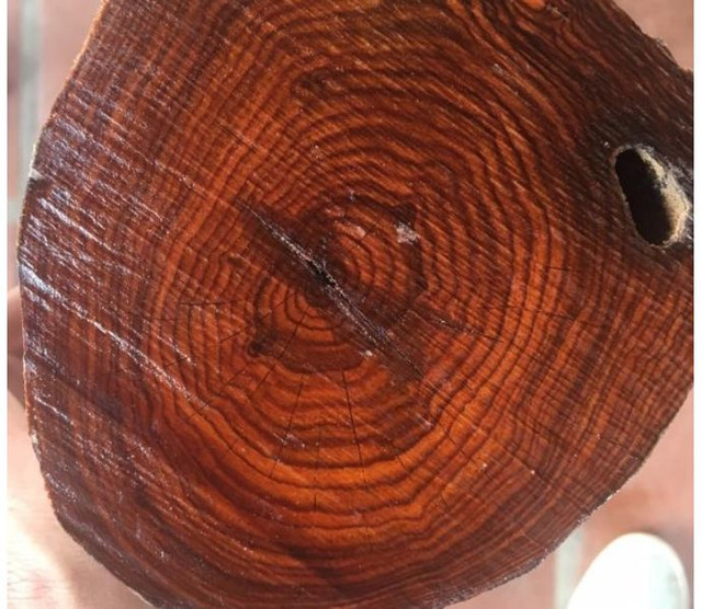 Loại gỗ nào đắt giá và quý hiếm nhất thế giới? - Hình 8 Loai go nao dat gia va quy hiem nhat the gioi?-Hinh-8