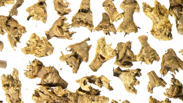 Ngỡ ngàng phát hiện 100 bộ xương người trong hang động Tây Tạng - Hình 11 Ngo ngang phat hien 100 bo xuong nguoi trong hang dong Tay Tang-Hinh-11