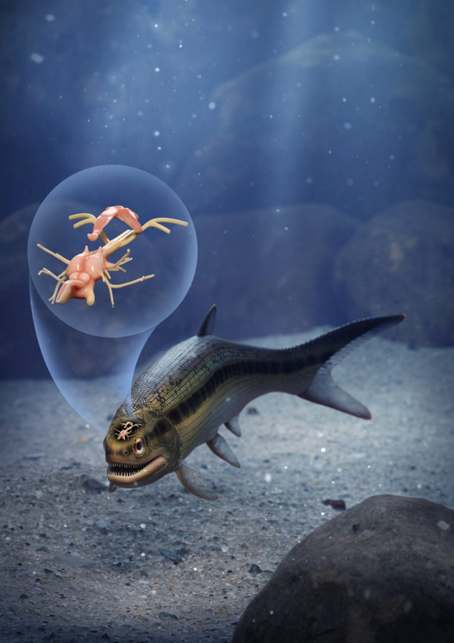 Chuyên gia bối rối khi phát hiện bộ não lâu đời nhất thế giới - Hình 2 Chuyen gia boi roi khi phat hien bo nao lau doi nhat the gioi-Hinh-2