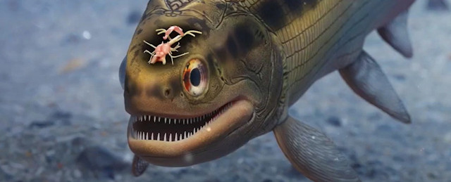 Chuyên gia bối rối khi phát hiện bộ não lâu đời nhất thế giới Chuyen gia boi roi khi phat hien bo nao lau doi nhat the gioi