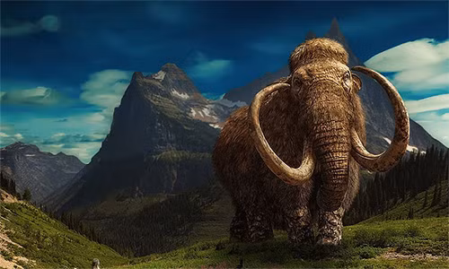 Bat ngo tim thay xac voi ma mut con nguyen ven