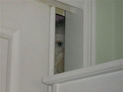 Những bức ảnh kỳ lạ bí ẩn khiến chuyên gia cũng bó tay - Hình 9 Nhung buc anh ky la bi an khien chuyen gia cung bo tay-Hinh-9