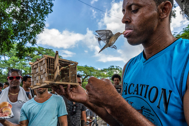 Cong bo nhung buc anh dong vat hoang da an tuong nhat 2022-Hinh-5