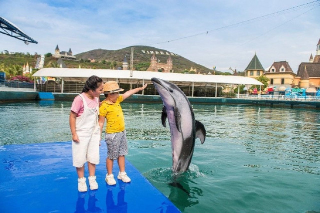 10 sự thật gây bất ngờ thú vị về cá heo - Hình 11 10 su that gay bat ngo thu vi ve ca heo-Hinh-11