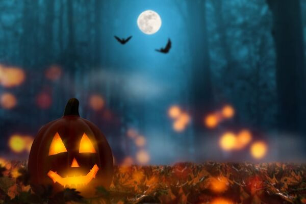 Những câu chuyện nghe là sợ có thật xảy ra đêm Halloween - Hình 4 Nhung cau chuyen nghe la so co that xay ra dem Halloween-Hinh-4
