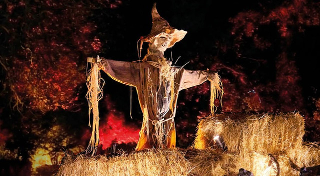 Những câu chuyện nghe là sợ có thật xảy ra đêm Halloween - Hình 9 Nhung cau chuyen nghe la so co that xay ra dem Halloween-Hinh-9