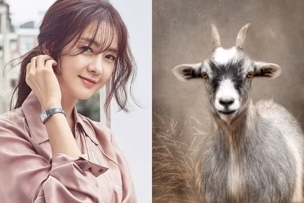 3 con giap ru bo van xui, tai loc cham dinh sau dem giao thua-Hinh-12