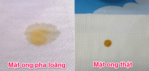 Cách phân biệt mật ong thật, giả như thế nào? - Hình 11 Cach phan biet mat ong that, gia nhu the nao?-Hinh-11