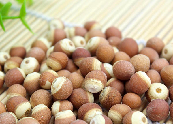 Thực phẩm cực bổ gan thận trong tiết trời thu đông - Hình 6 Thuc pham cuc bo gan than trong tiet troi thu dong-Hinh-6