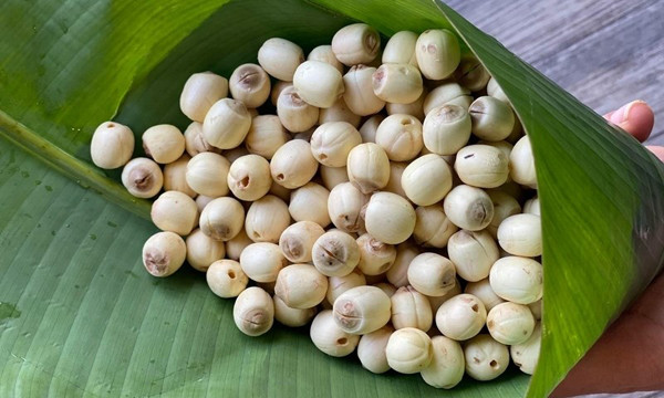 Thực phẩm cực bổ gan thận trong tiết trời thu đông - Hình 2 Thuc pham cuc bo gan than trong tiet troi thu dong-Hinh-2