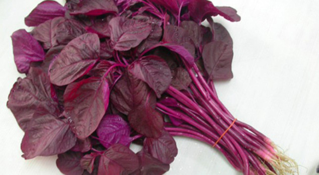 Tự phát hiện bệnh đường ruột nhờ dấu hiệu “1 đau, 1 đen, 3 mùi” - Hình 3 Tu phat hien benh duong ruot nho dau hieu “1 dau, 1 den, 3 mui”-Hinh-3