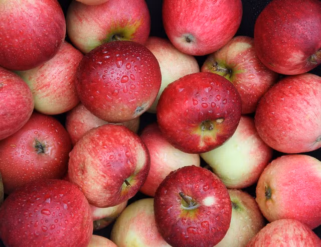 Vi sao ban nhat dinh phai an nhung loai rau cu qua nay vao mua thu?