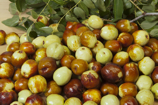 Hồng táo có thực nhiều công dụng như lời đồn? - Hình 8 Hong tao co thuc nhieu cong dung nhu loi don?-Hinh-8