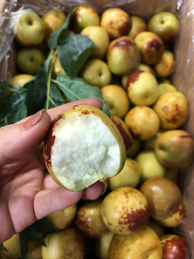 Hồng táo có thực nhiều công dụng như lời đồn? - Hình 2 Hong tao co thuc nhieu cong dung nhu loi don?-Hinh-2