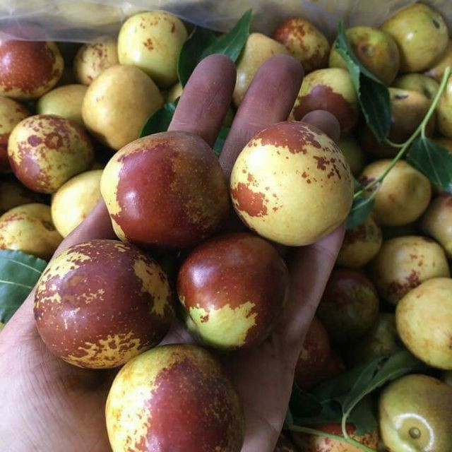 Hồng táo có thực nhiều công dụng như lời đồn? - Hình 6 Hong tao co thuc nhieu cong dung nhu loi don?-Hinh-6