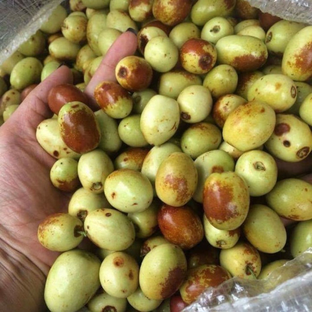 Hồng táo có thực nhiều công dụng như lời đồn? - Hình 7 Hong tao co thuc nhieu cong dung nhu loi don?-Hinh-7