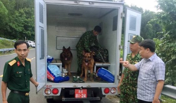 Đề xuất được tiêu diệt tên sát nhân vượt ngục đang lẩn trốn ở núi Hải Vân - Hình 3 De xuat duoc tieu diet ten sat nhan vuot nguc dang lan tron o nui Hai Van-Hinh-3