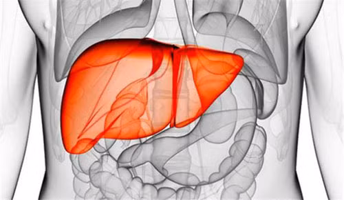 Loat thoi quen buoi sang hai gan nhieu nguoi bo qua-Hinh-7