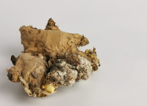 Loại rau củ cực hại gan nhiều người không biết - Hình 5 Loai rau cu cuc hai gan nhieu nguoi khong biet-Hinh-5