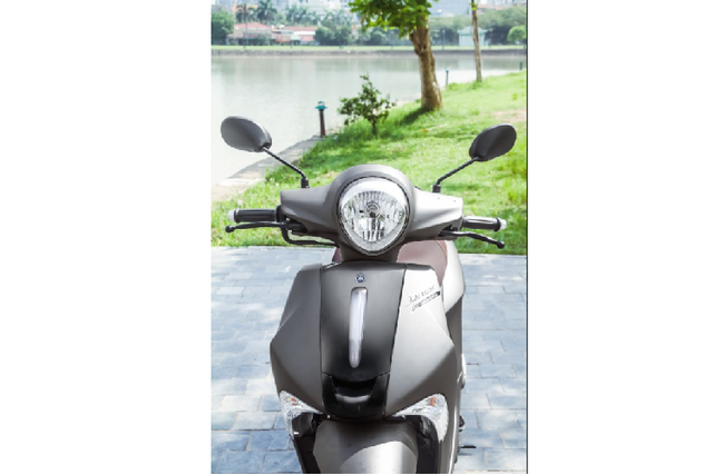 Di xe tay ga nao tiet kiem trong luc gia xang tang vot?-Hinh-3