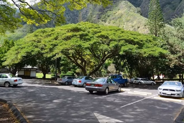 Cac bien phap chong nong cho oto trong mua he