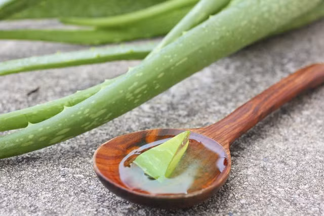 Bi quyet dung nha dam lam kem chong nang cho cac nang-Hinh-10