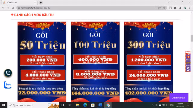 Nhan dien cac chieu tro huy dong von cua mo hinh “dau tu nho loi tuc lon”-Hinh-4