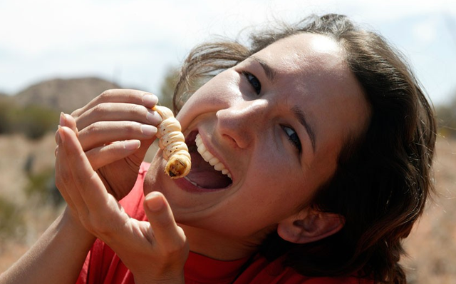 8 món ăn đặc sản kinh dị nhất thế giới, không phải ai cũng dám thử 8 mon an dac san kinh di nhat the gioi, khong phai ai cung dam thu