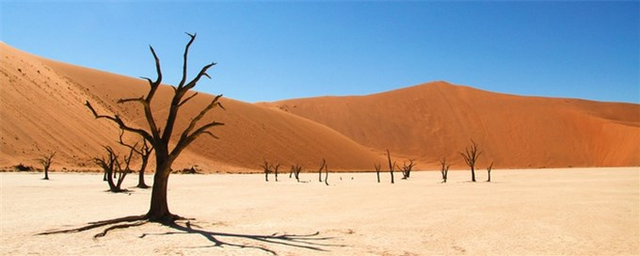 Tan muc sa mac vua hung vi vua bi an nhat hanh tinh-Hinh-7